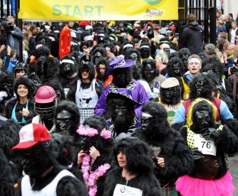 «Gorilas» à solta nas ruas de Londres 934x540
