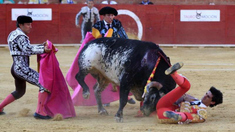 Toureiro morre depois de ser colhido por touro em Espanha