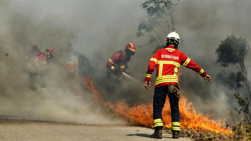 Resultado de imagem para Quase 150 bombeiros combatem chamas em Mangualde