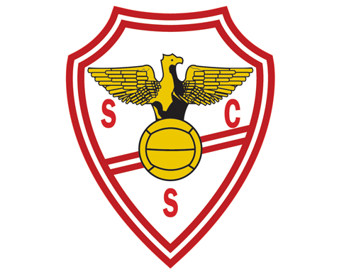 Logotipo do Salgueiros