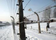 65º aniversário da libertação do campo de concentração de Auschwitz (foto: lusa/epa)