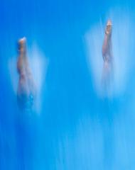 Mundiais de natação: imagens fantásticas