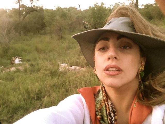 Lady Gaga faz safari em África Fotos: Facebook