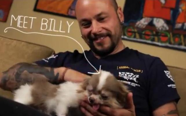 Meet Billy