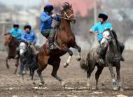 No Quirguistão, radical: pólo com uma carcaça de cabra