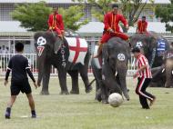 Estes elefantes sabem jogar futebol (Reuters)