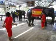 Estes elefantes sabem jogar futebol (Reuters)