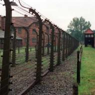 Campo de concentração de Auschwitz