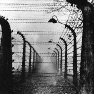 Era quase impossível escapar ao horror dos campos de extermínio nazi. Vedações electrificadas separavam os prisioneiros do exterior