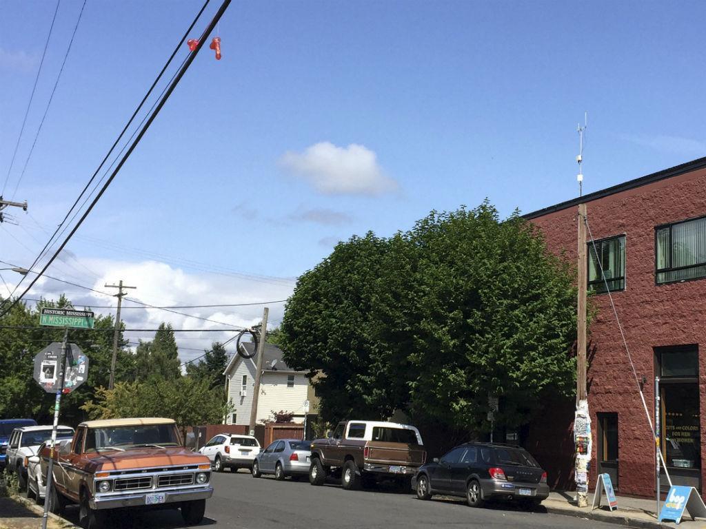 Brinquedos sexuais em postes de eletricidade intrigam moradores de Portland