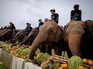 Polo em Elefantes na Tailândia (Lusa)