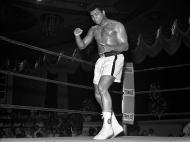 Muhammad Ali (Lusa)