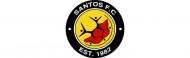 Santos FC (África do Sul)