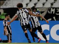 Botafogo-Olimpia Asuncion (Reuters)