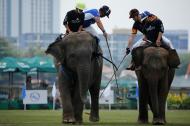 Polo Elefantes (Reuters)