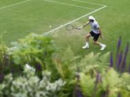 Wimbledon: Federer e Nadal já aquecem