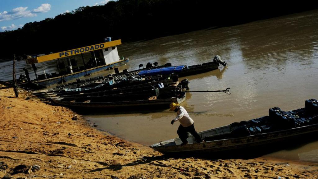 Brasileiros procuram ouro em minas ilegais na Amazónia
