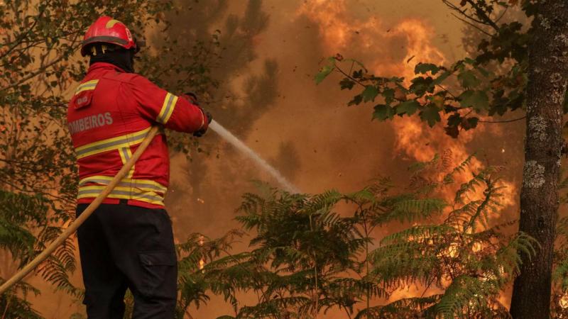 Resultado de imagem para Mais de 400 bombeiros apoiados por trÃªs meios aÃ©reos combatem incÃªndio em Oliveira de AzemÃ©is