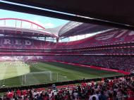 Treino aberto do Benfica [foto: David Marques]