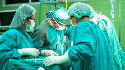 Investigadores transplantaram rim de porco num homem em morte cerebral. Mais de um mês depois, órgão continua a funcionar - TVI