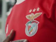 Novas camisolas do Benfica