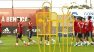 O dia 1 do novo Benfica no relvado do Seixal