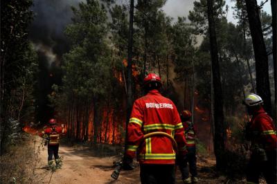 35 concelhos do interior Norte e Centro e Algarve em perigo máximo de incêndio - TVI