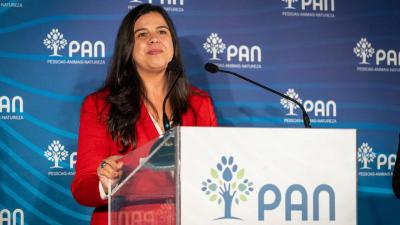 PAN vai apoiar Ana Gomes nas presidenciais do próximo ano - TVI