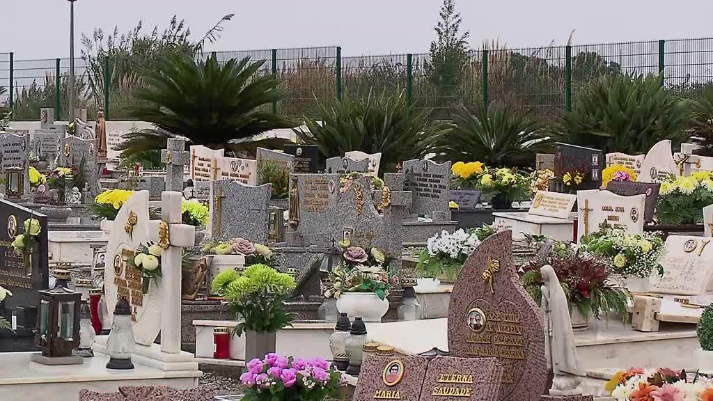 Mais de 200 mortos com ordem de despejo do cemitério de Rio Tinto