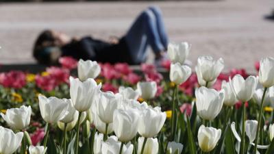 Olá, primavera (e olá novas temperaturas máximas) - TVI