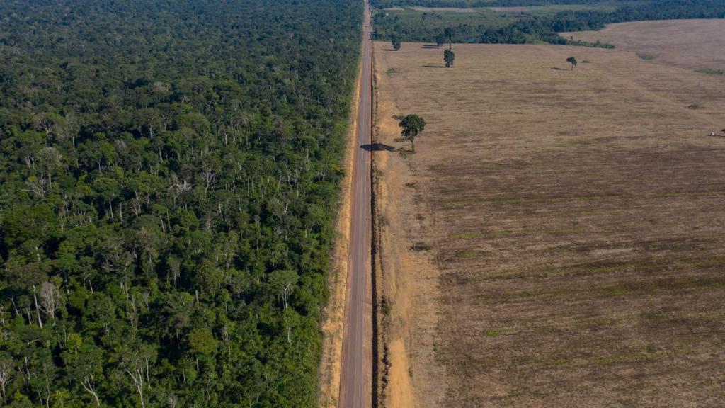 Desflorestação na Amazónia