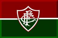 Fluminense (Brasil): 169 mil votos