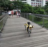 Singapura usa robô para patrulhar parques (EFE)