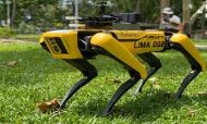 Singapura usa robô para patrulhar parques (EFE)