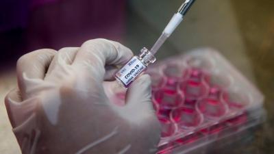 300 mil portugueses com anticorpos contra o coronavírus - TVI