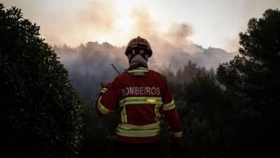 Dez concelhos de Portalegre e Faro em risco máximo de incêndio - TVI