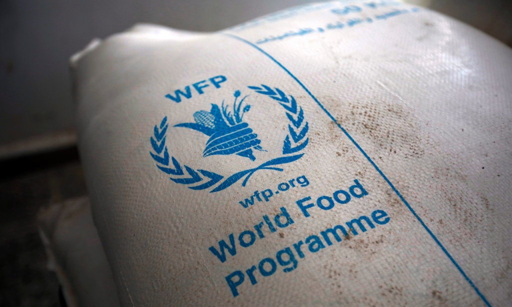 Prémio Nobel da Paz atribuído ao Programa Alimentar Mundial (Yahya Arhab/EPA)