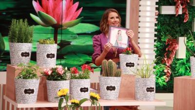 Ana Garcia Martins classifica as «plantas» da casa - Big Brother