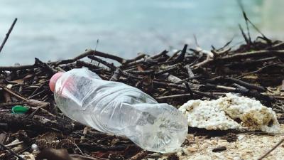 Investigadores desenvolvem bactéria que transforma garrafas de plástico em matéria-prima - TVI
