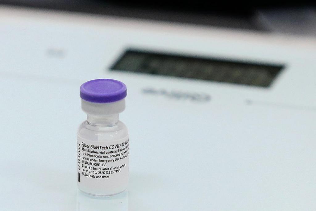 Primeiro lote das vacinas contra a Covid-19 chega a Portugal