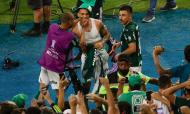 Palmeiras de Abel festeja conquista da Libertadores
