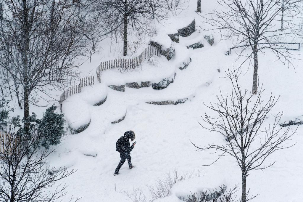 Tempestade deixa Nova Iorque em estado de emergência e coberta de neve