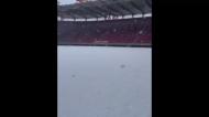 Estádio onde o Benfica vai jogar acorda coberto de neve