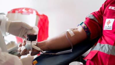 Federação de dadores alerta para "níveis preocupantes" das reservas de sangue e pede mobilização - TVI