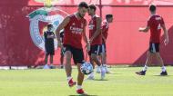 Plantel do Benfica prossegue pré-temporada (fotos: SLB)