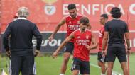 Benfica volta aos treinos no Seixal (fotos: SLB)