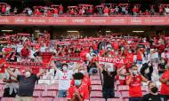 Champions: as melhores imagens do Benfica-Spartak