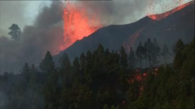 Oito portugueses identificados pelas autoridades após erupção em La Palma - TVI