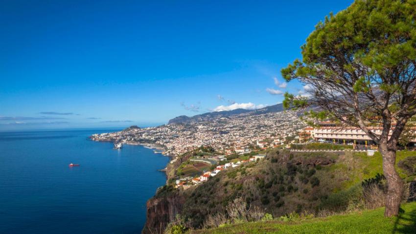 Madeira - AWAY