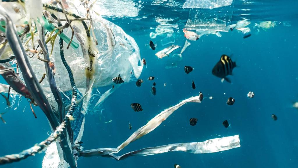 Monitorização de plásticos no oceano